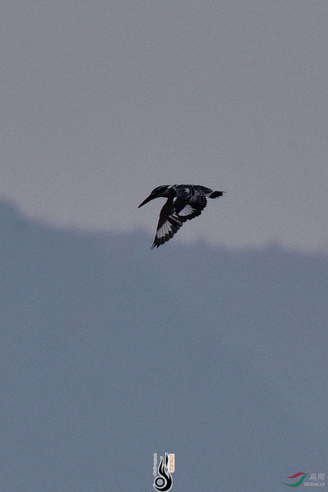 DSC_0889.JPG