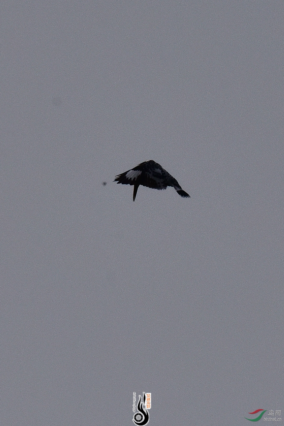 DSC_0890.JPG