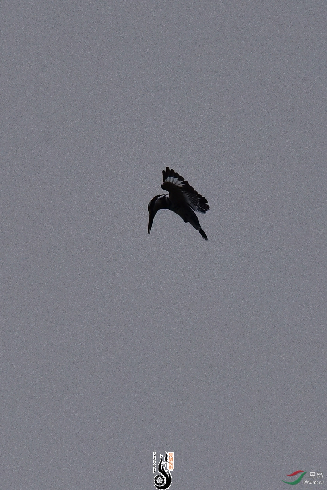 DSC_0895.JPG