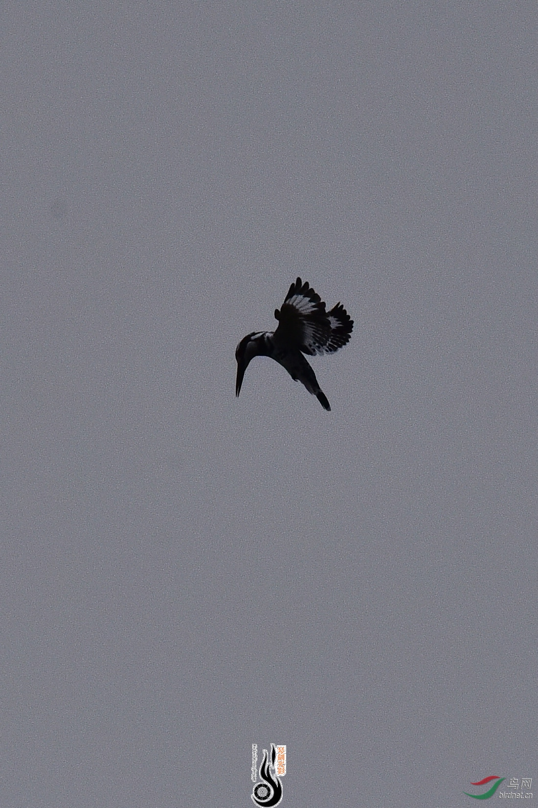 DSC_0896.JPG