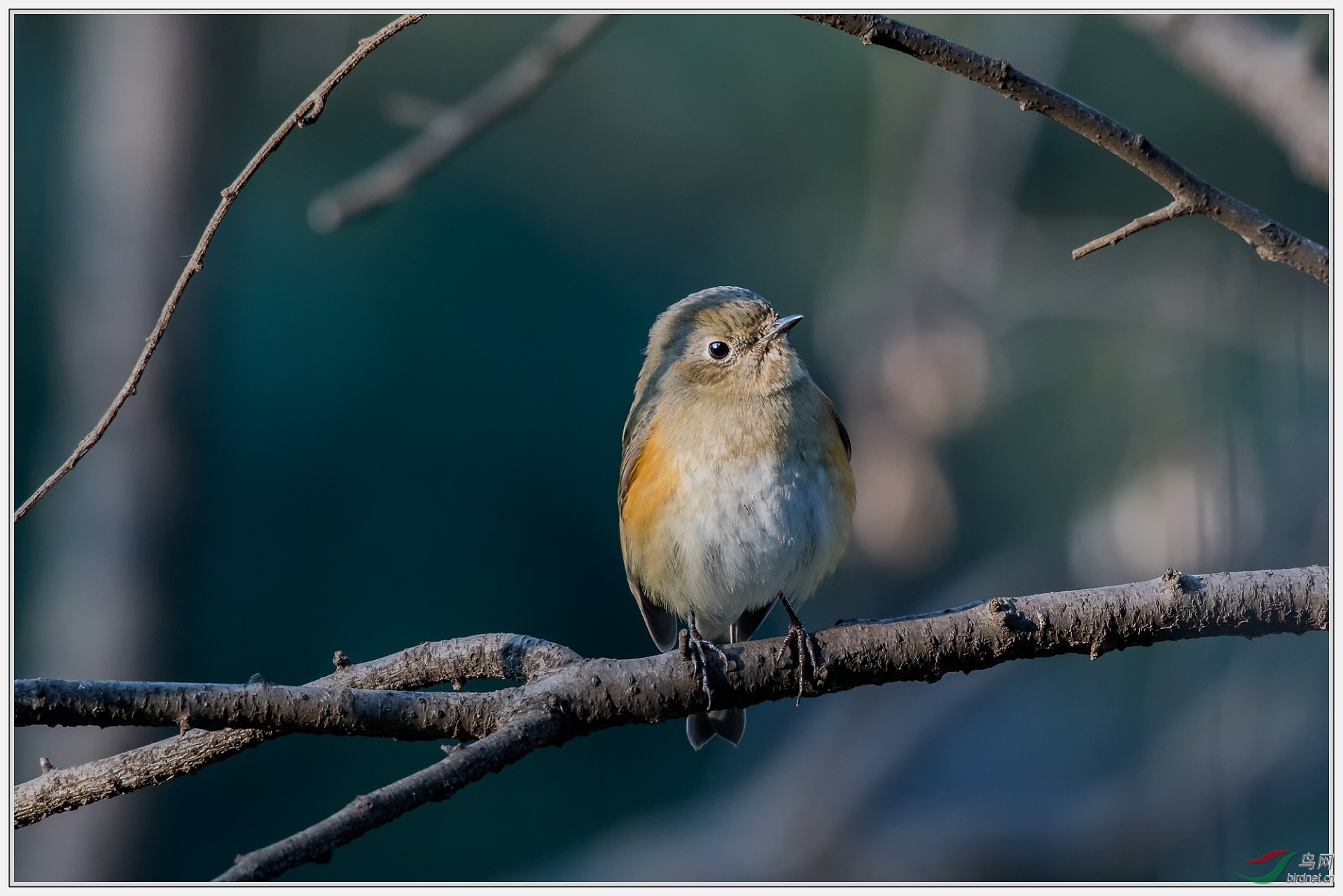 ����ֱ�䵽�����ϵ�Ƭ�Ӳ�̫�á�5��