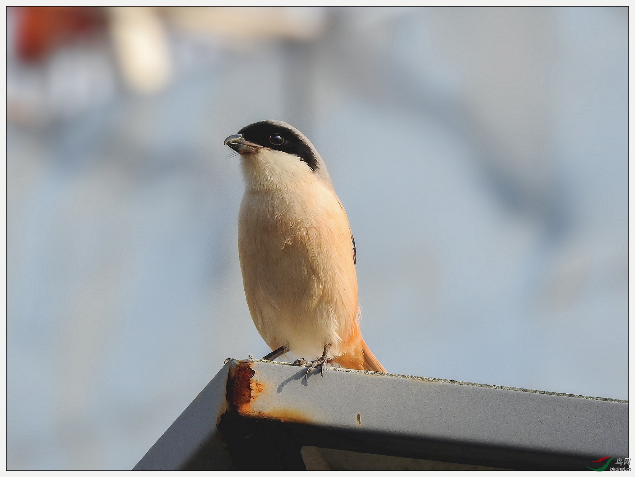 ��������12������