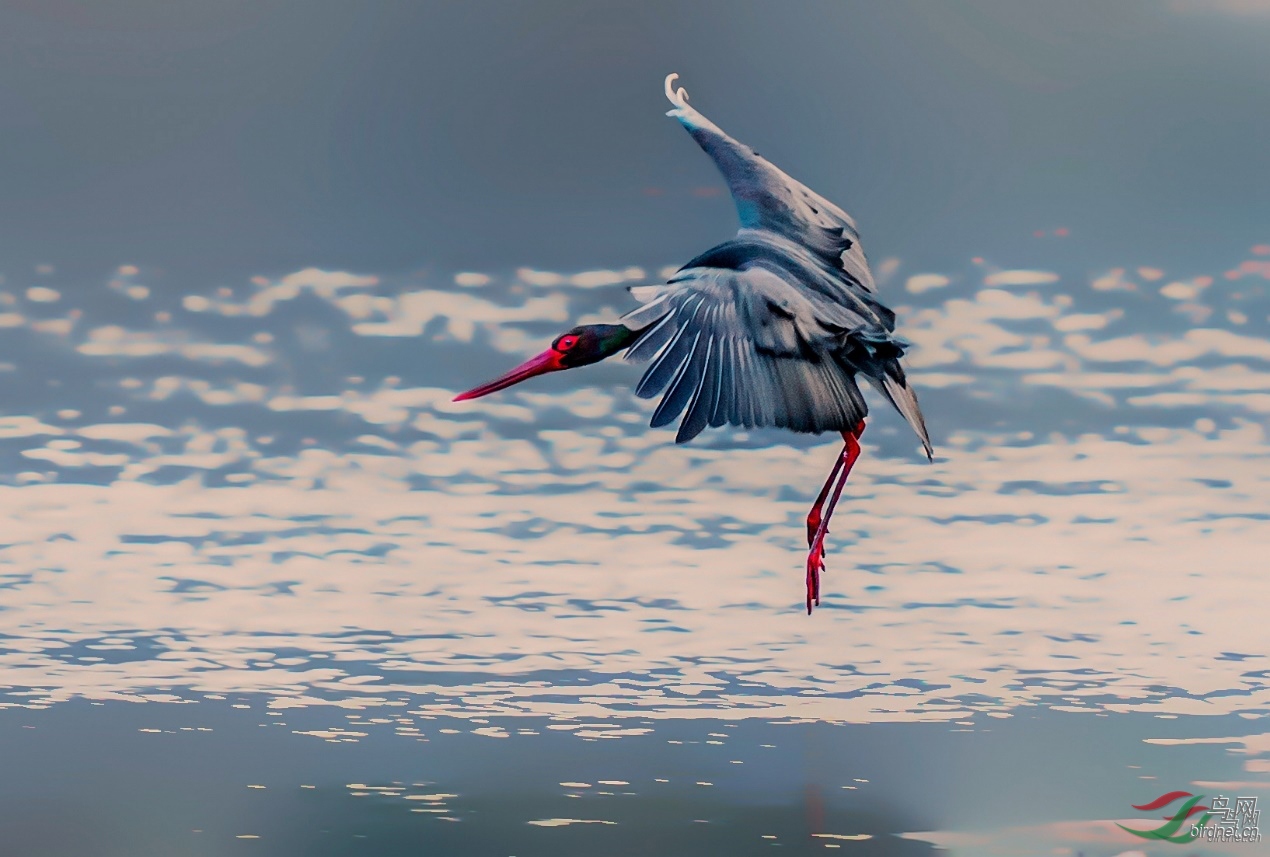 ͼƬ1 ����.jpg