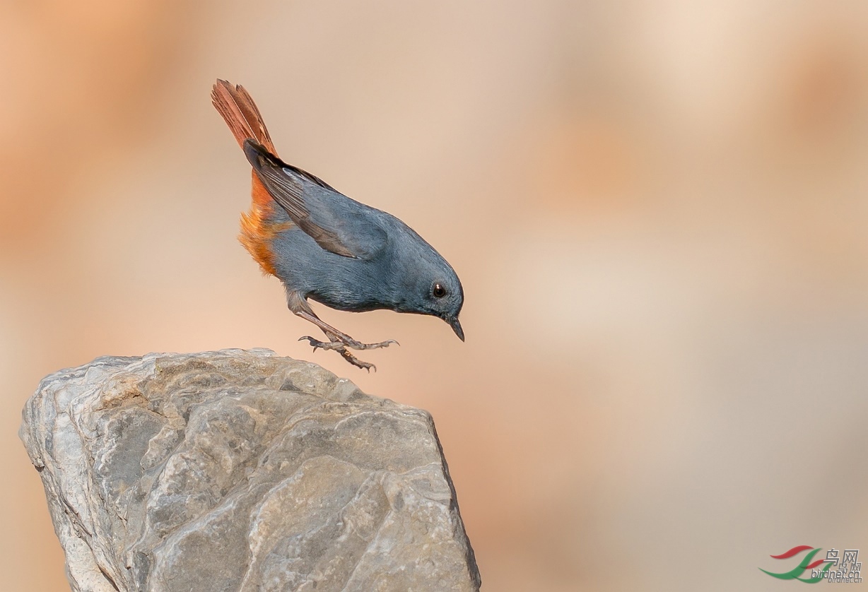 ͼƬ3 ����.jpg