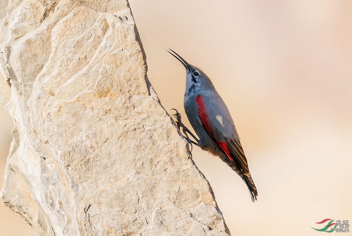 ͼƬ7 ����.jpg