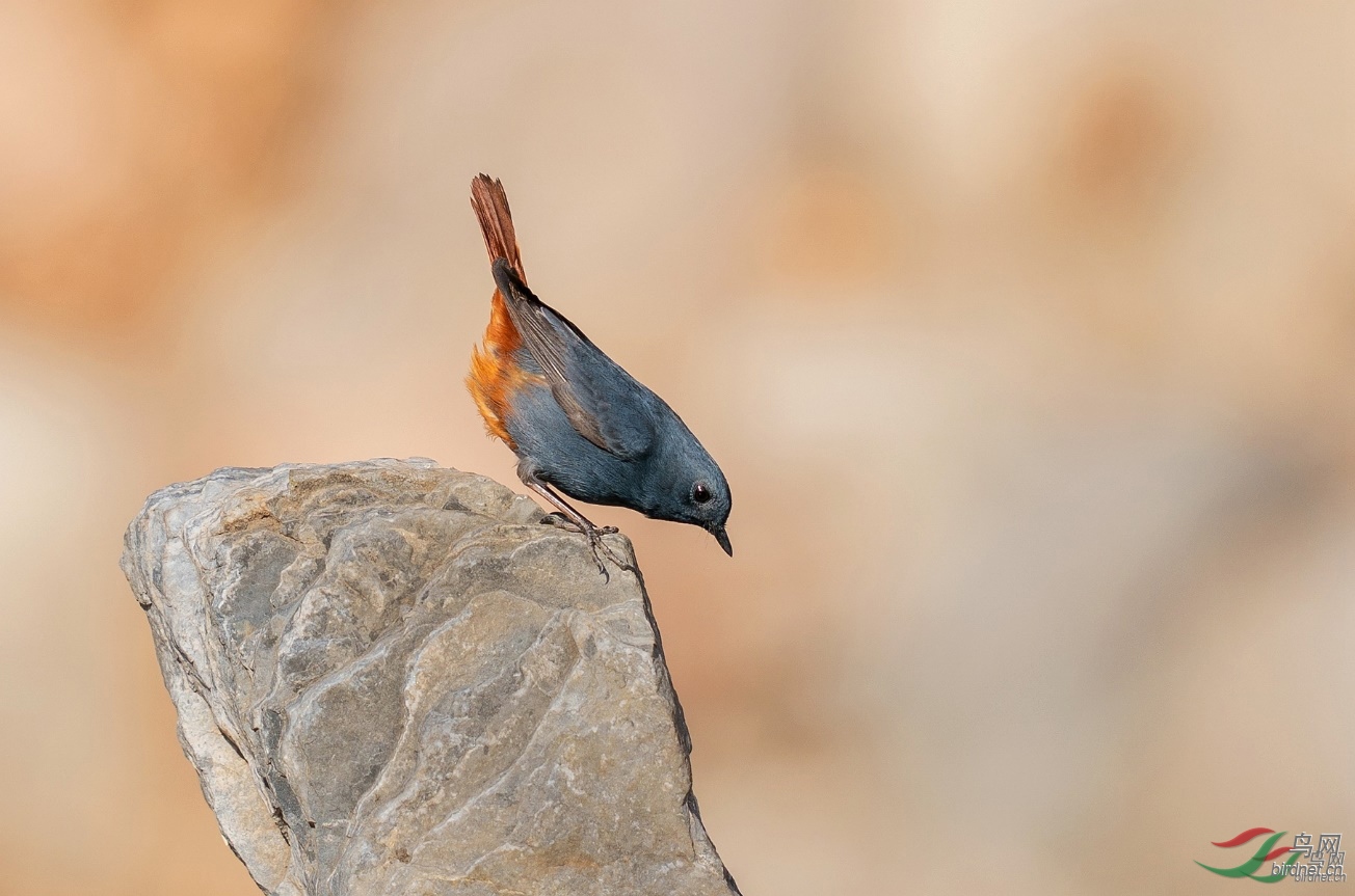 ͼƬ6 ����.jpg