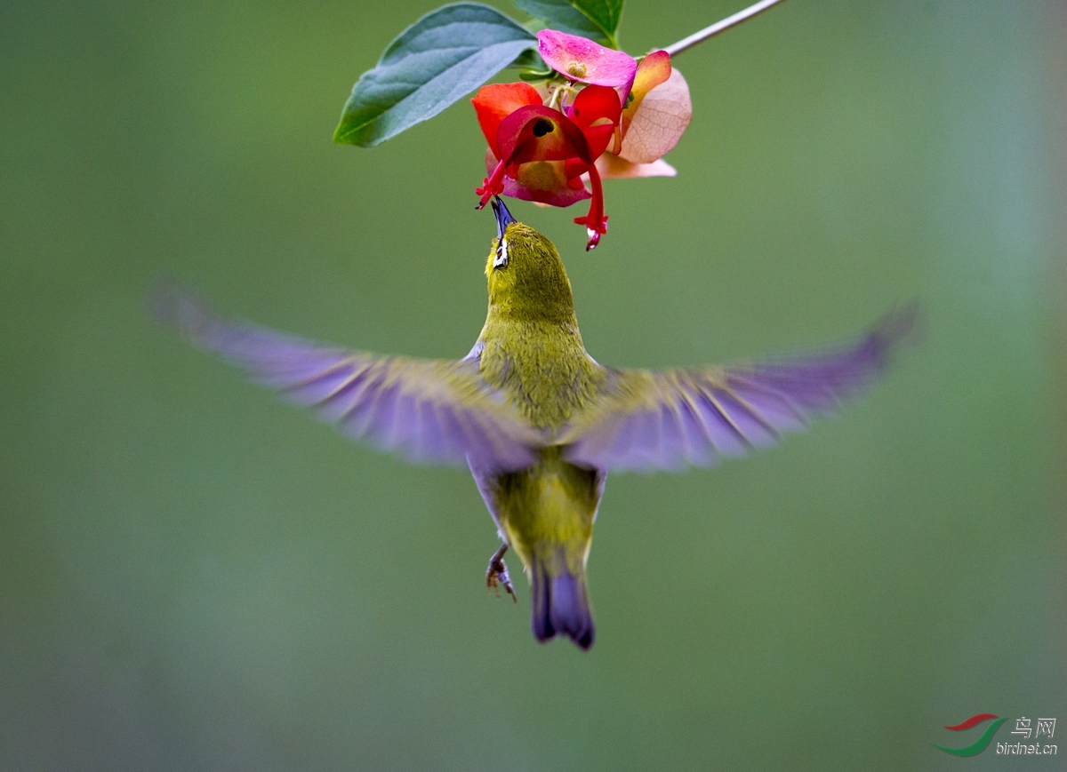IMG_6805.jpg