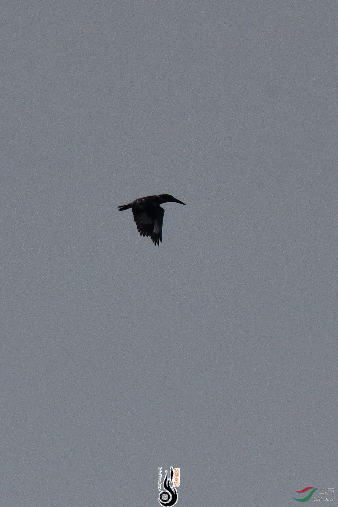 DSC_0907.JPG