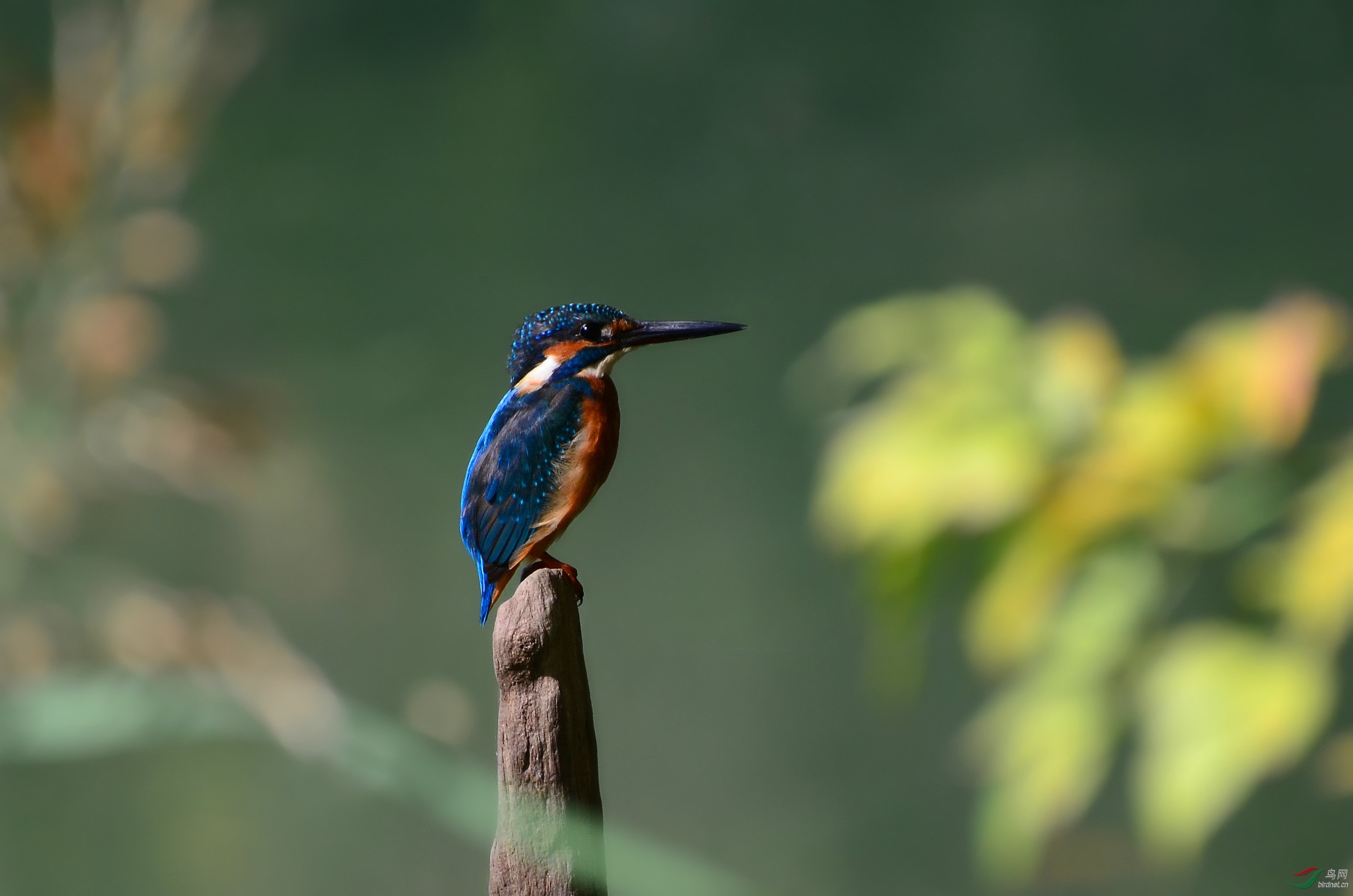 DSC_9090.JPG