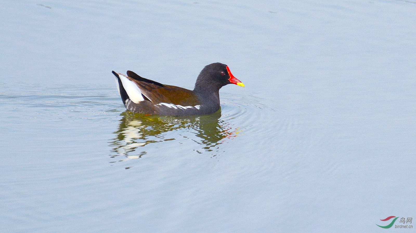 DSC_1501.JPG