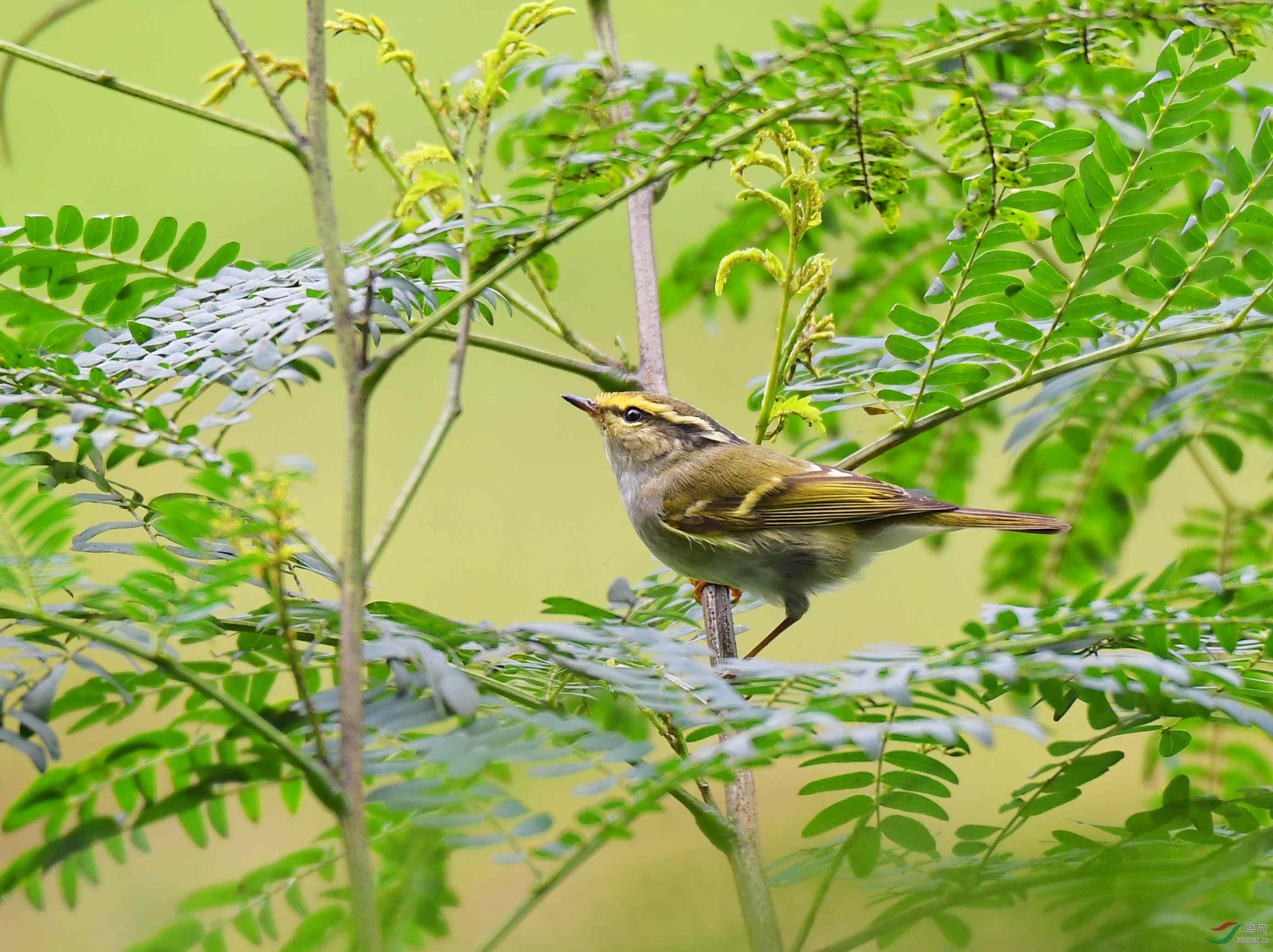 DSC_1058.JPG
