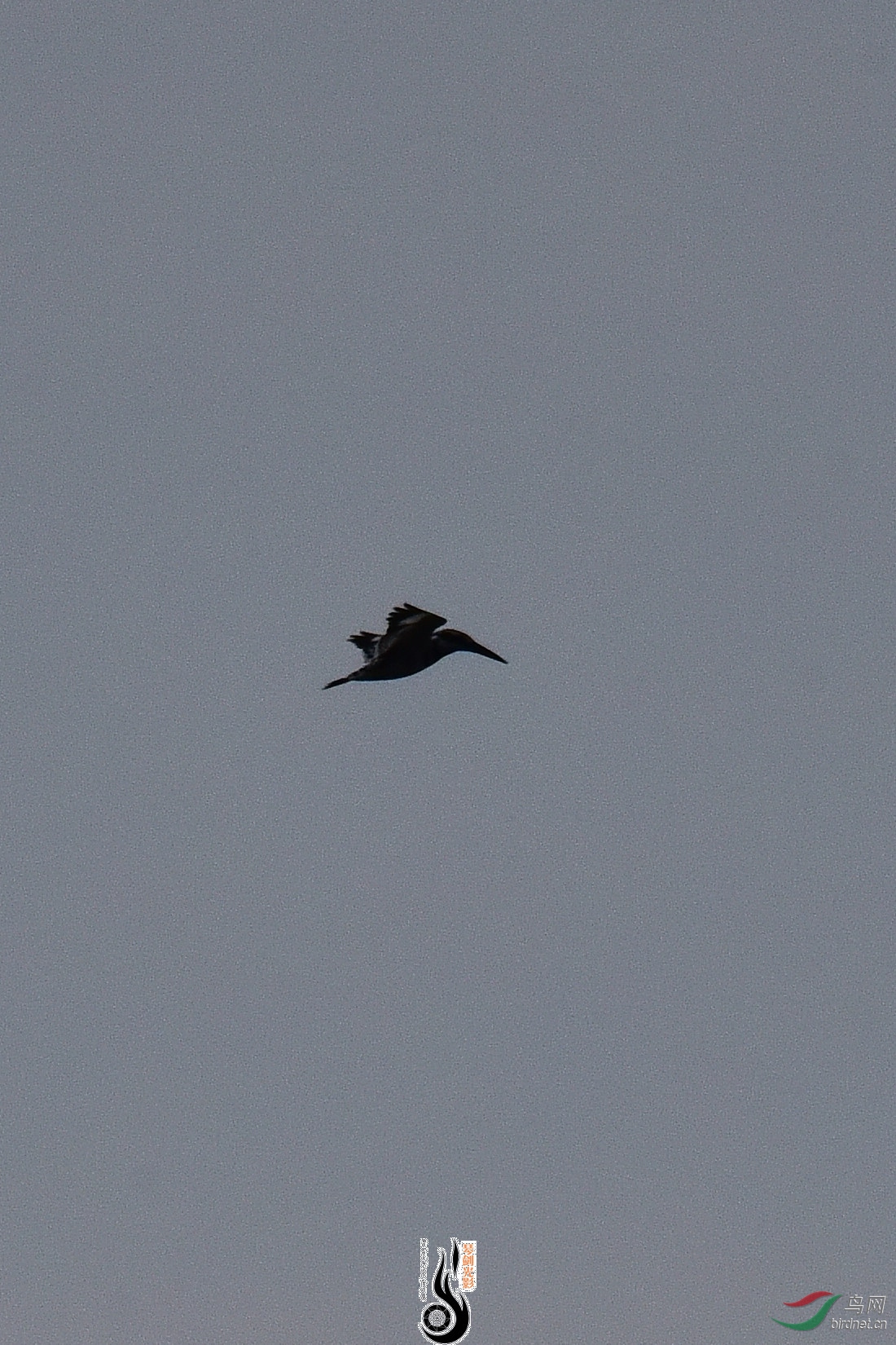 DSC_0913.JPG