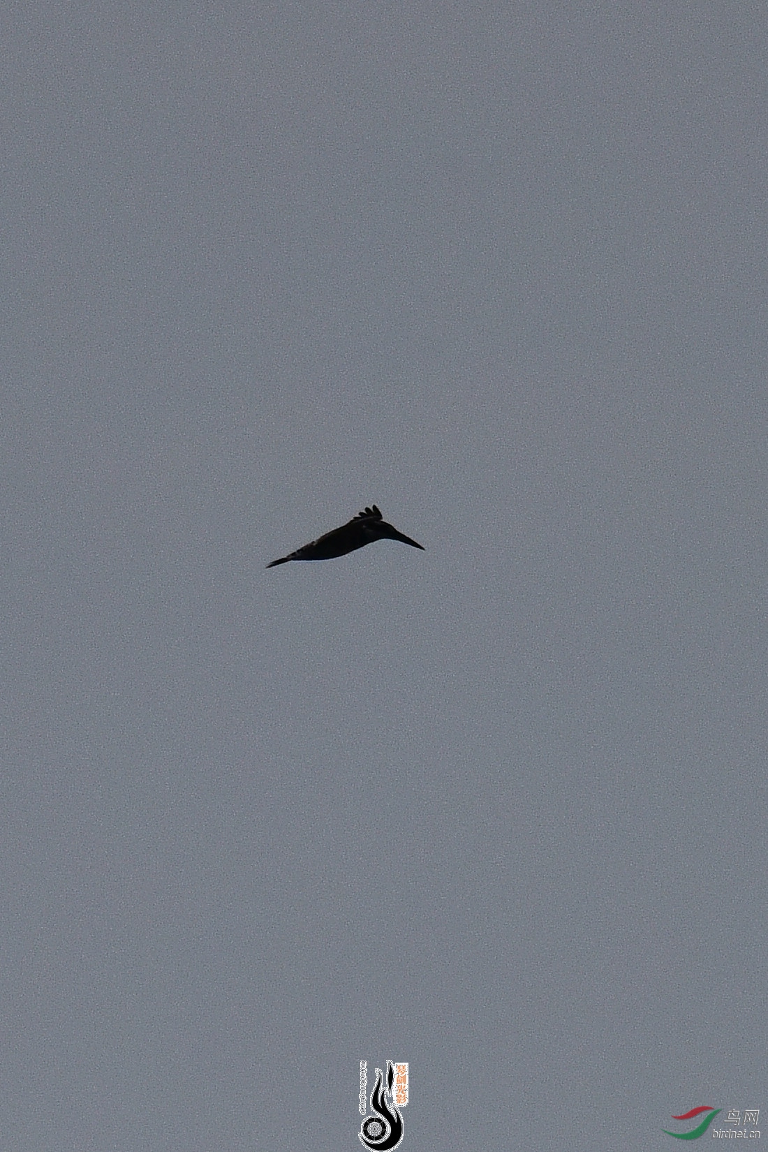 DSC_0914.JPG