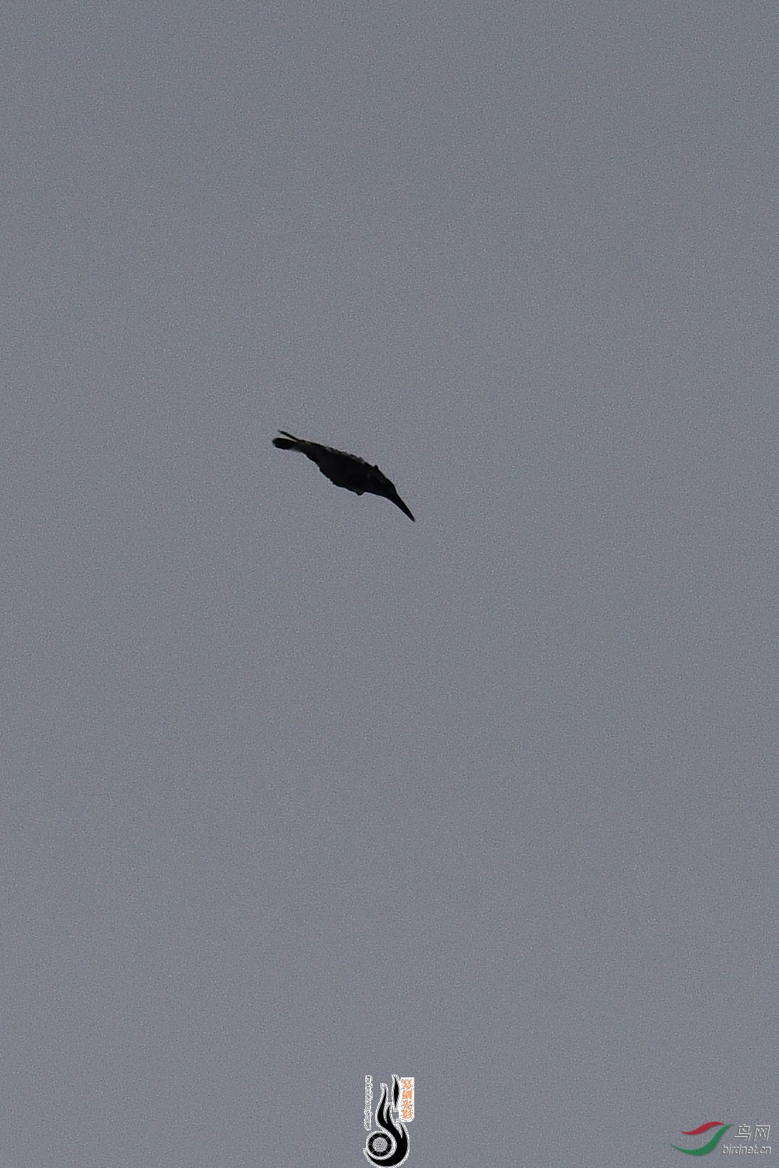 DSC_0920.JPG