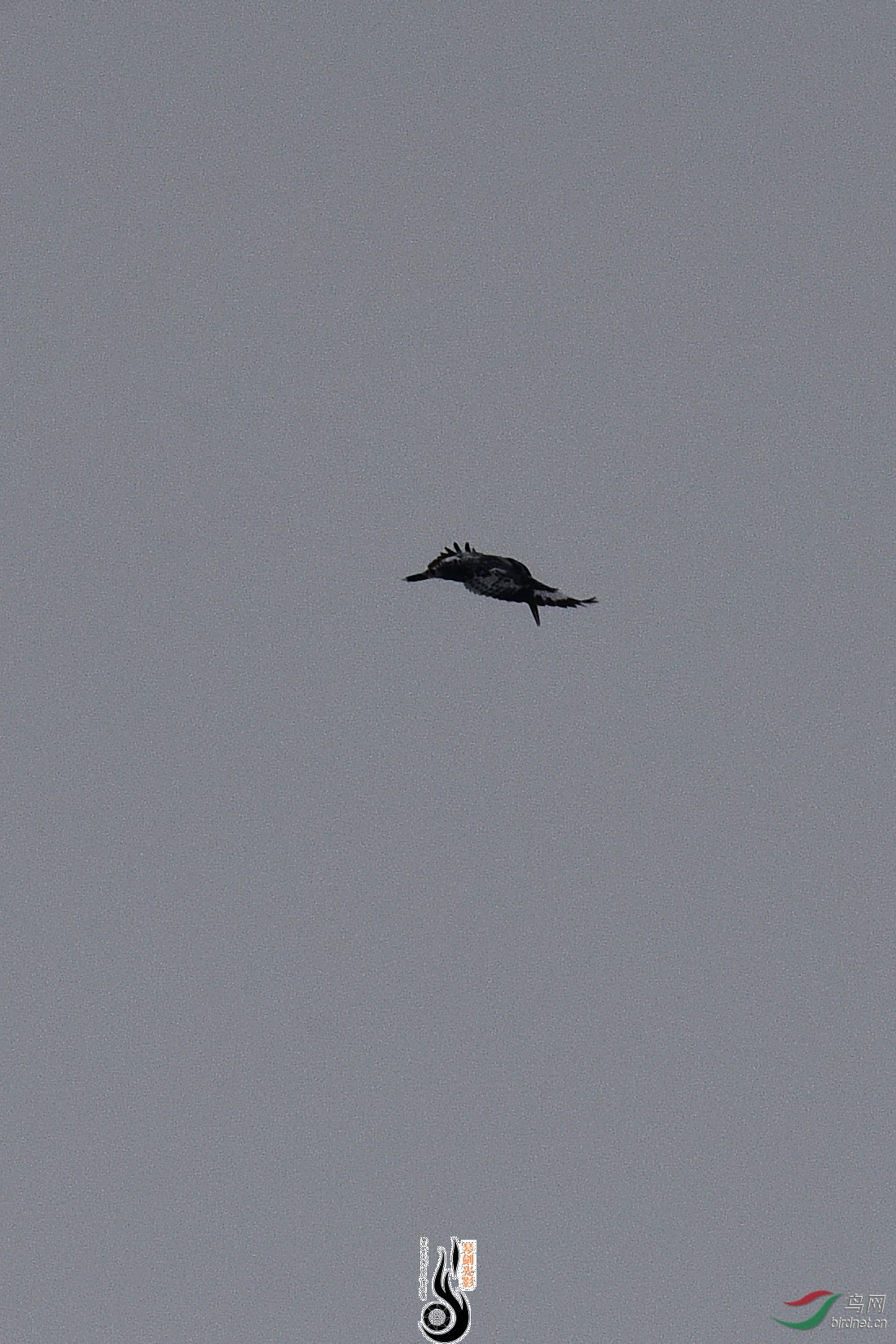 DSC_0922.JPG