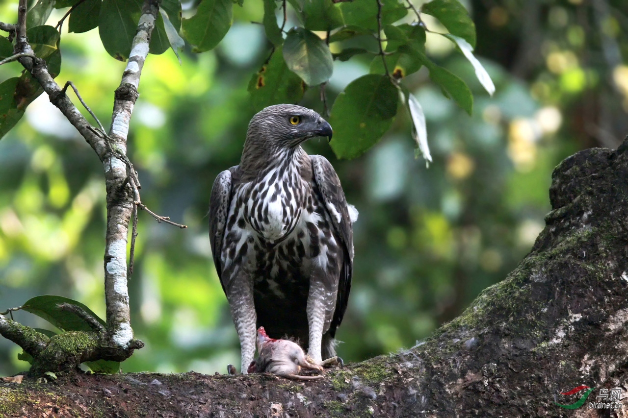 ���� (56)1.jpg