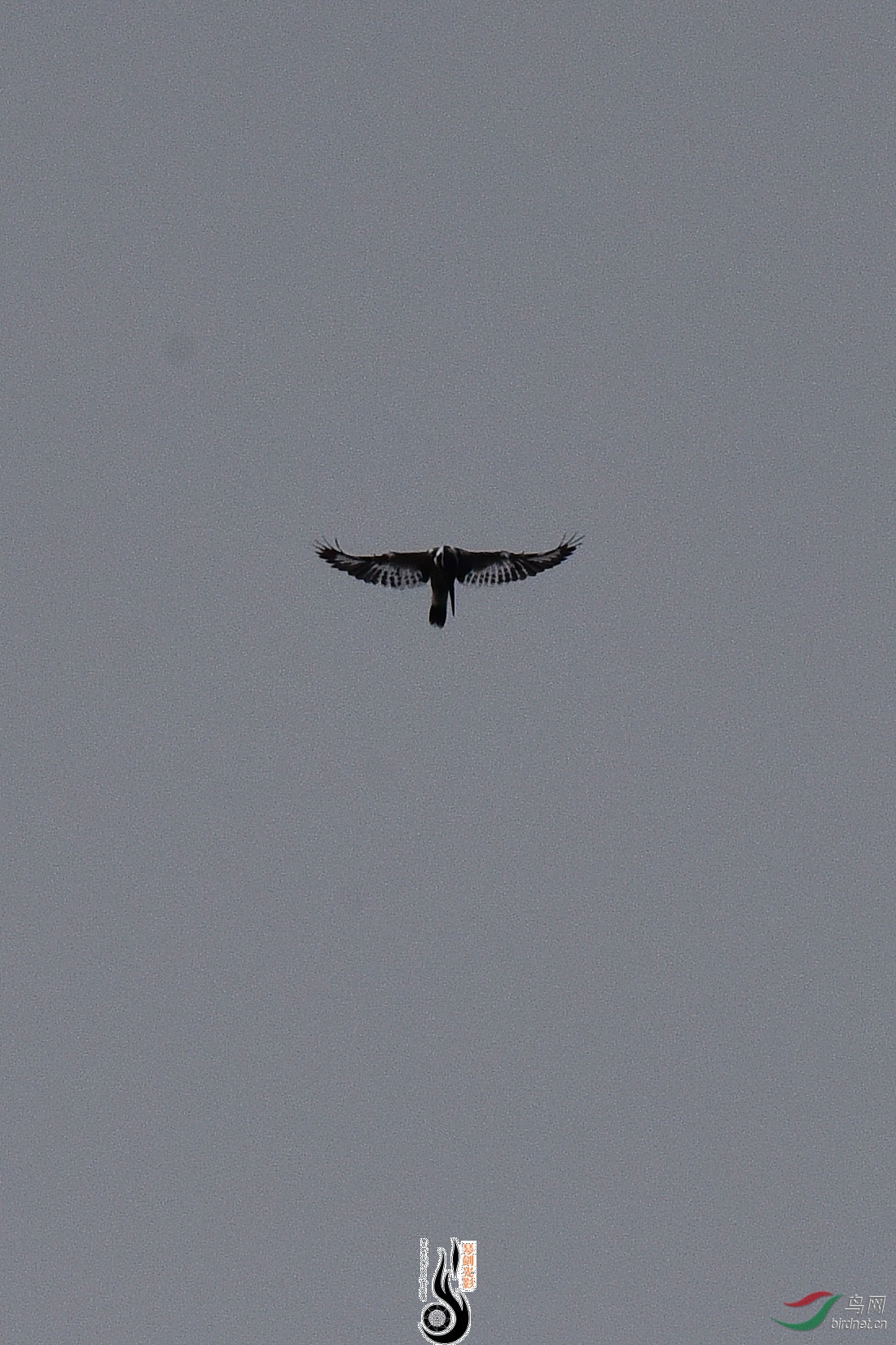 DSC_0925.JPG