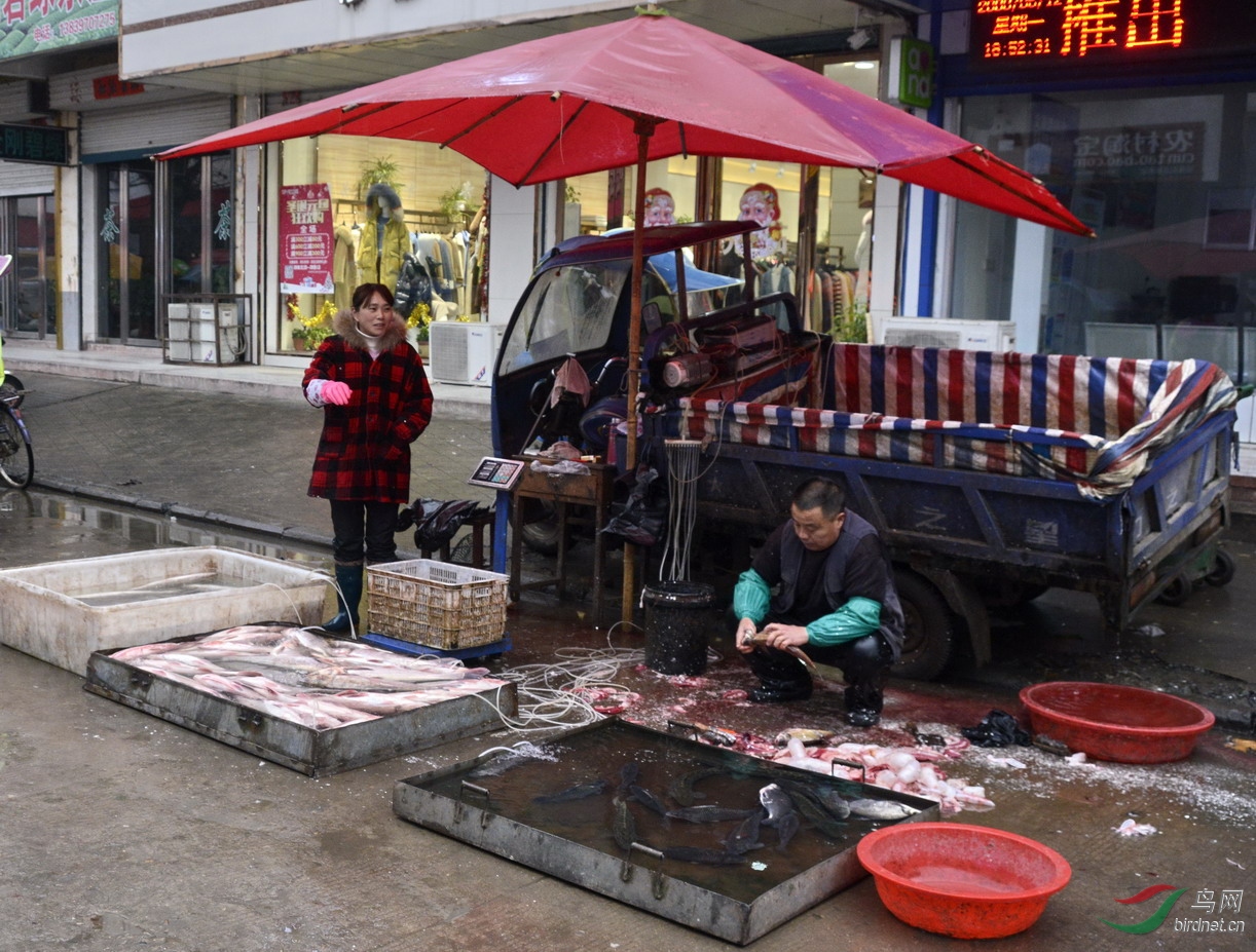 ���� _1089339.jpg