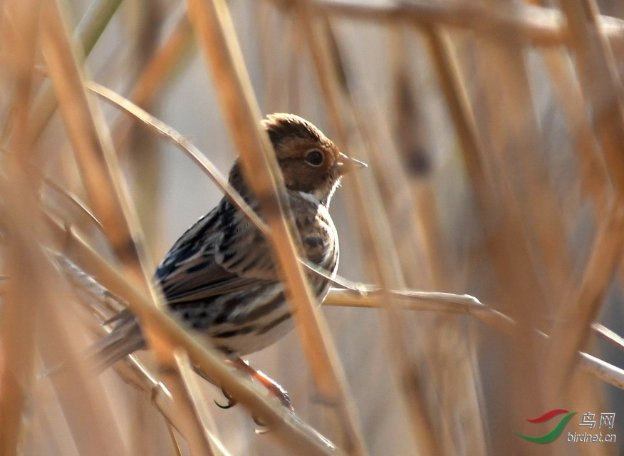 ���� ���� DSC_7590.jpg