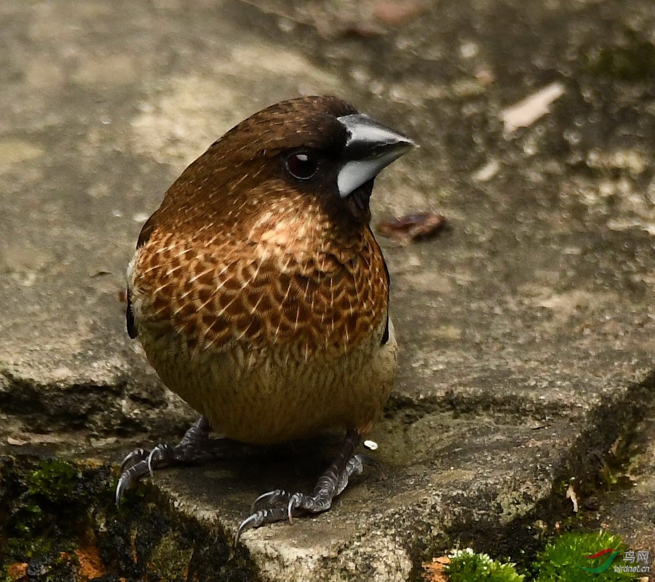 ������100%