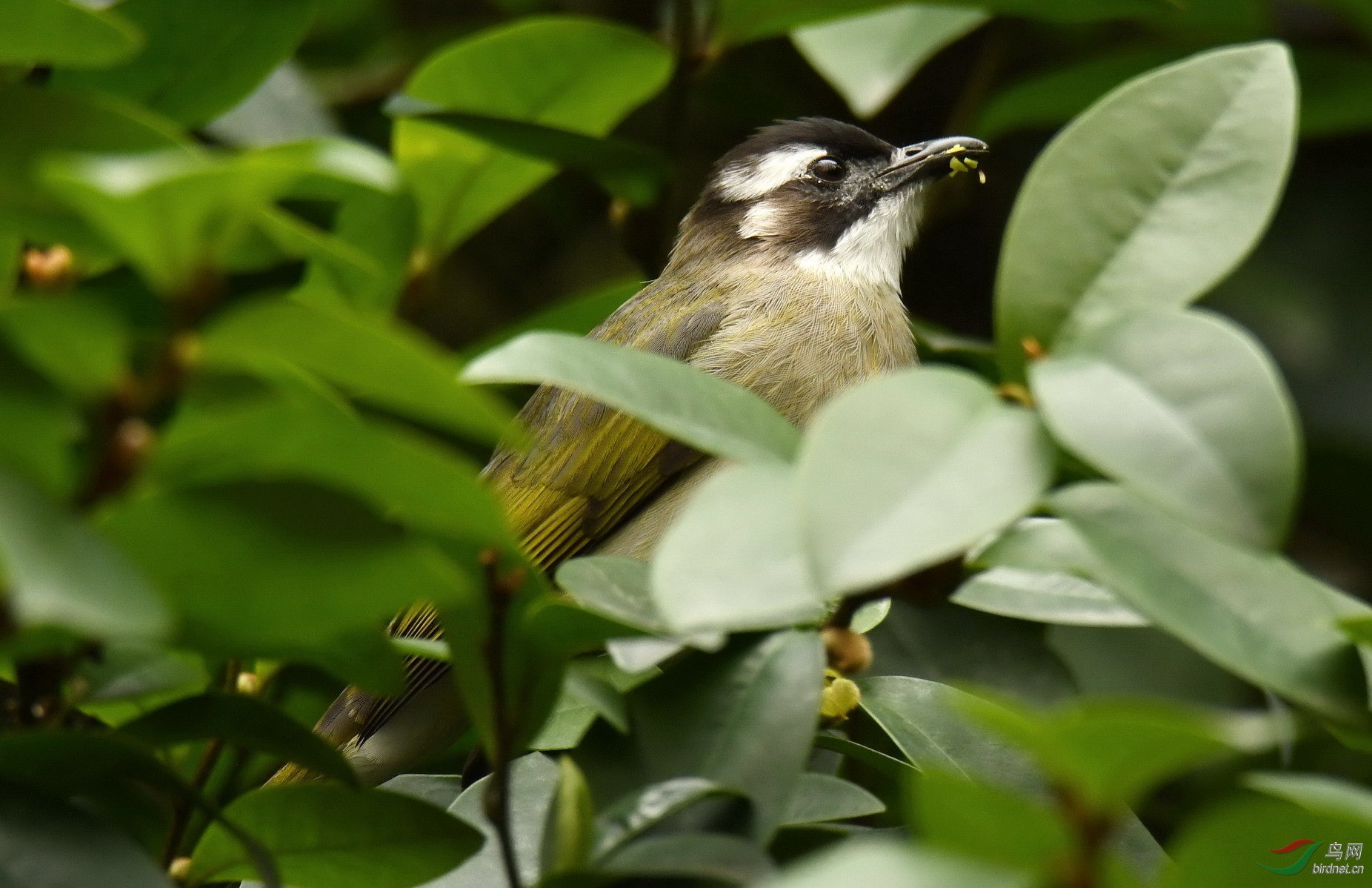 ��ͷ�����Լ9��