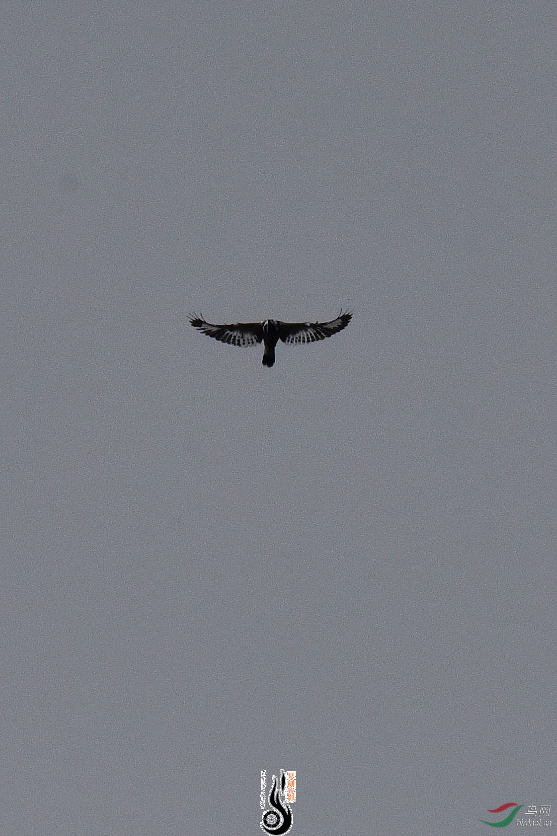 DSC_0926.JPG