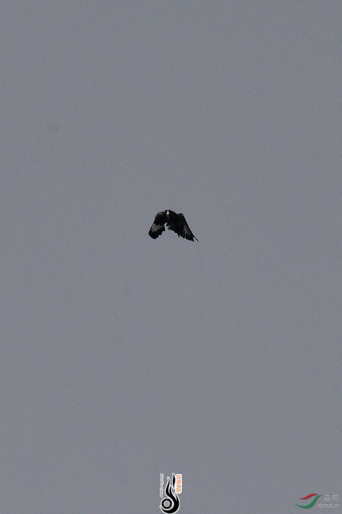 DSC_0927.JPG