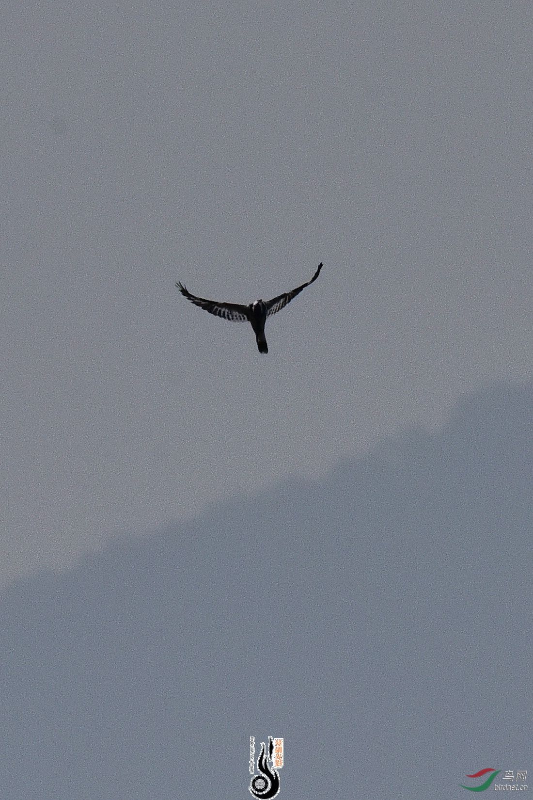 DSC_0929.JPG