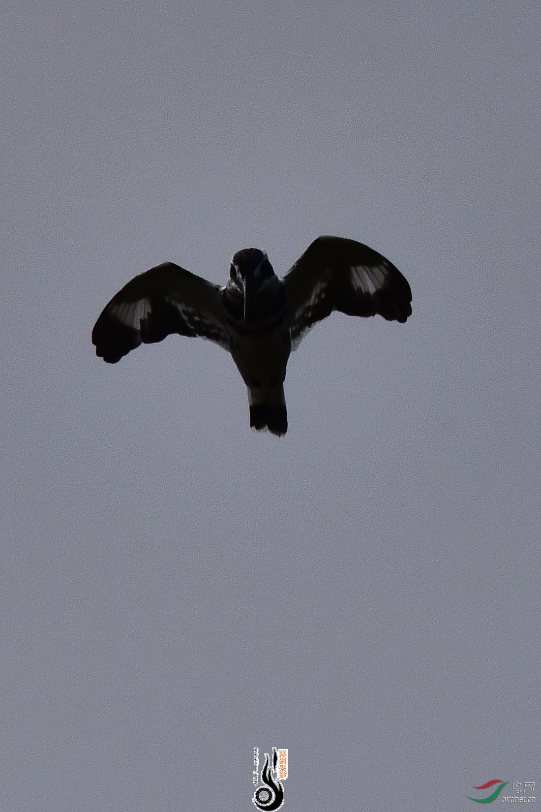 DSC_0940.JPG