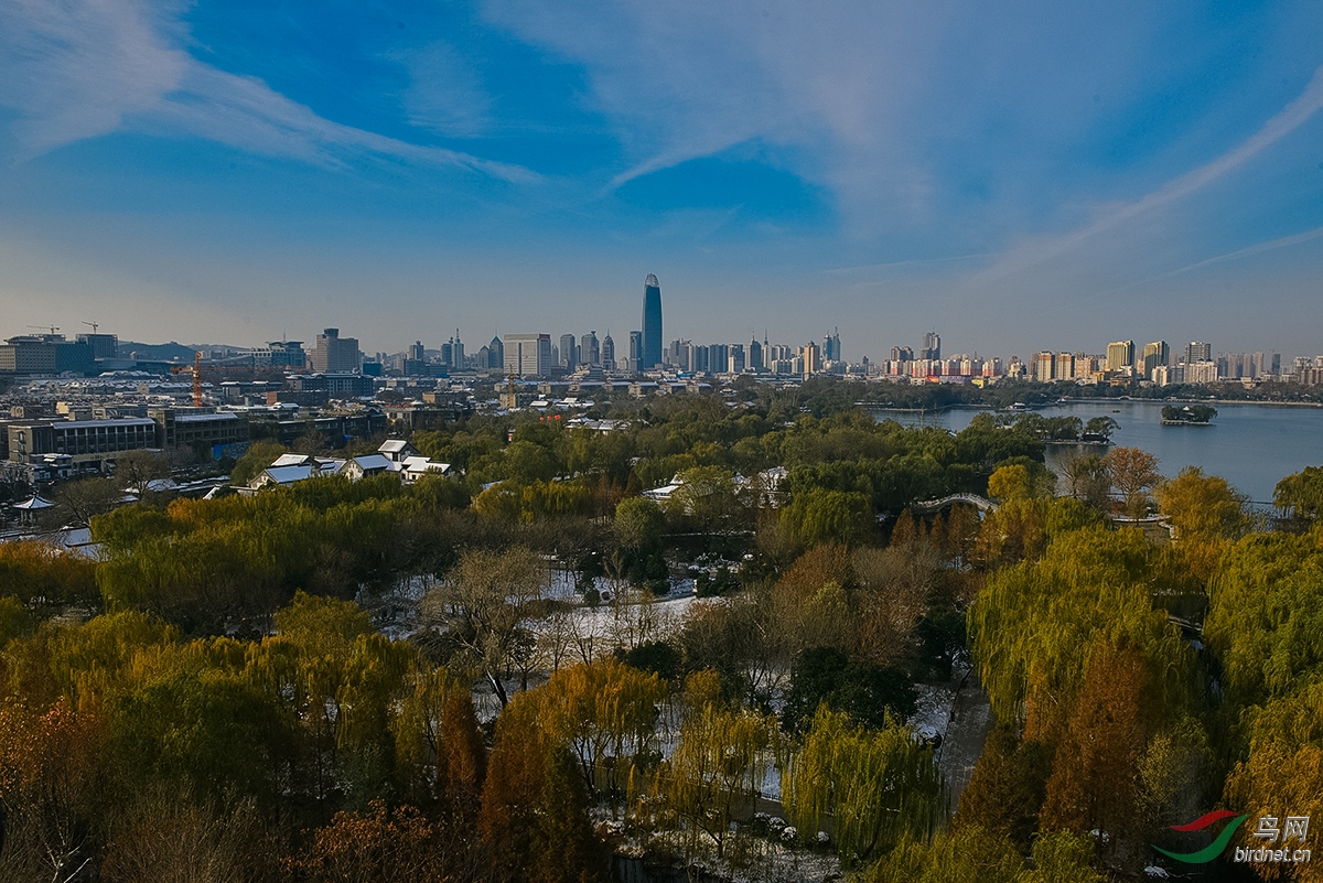 D8A_4526_1473a.jpg