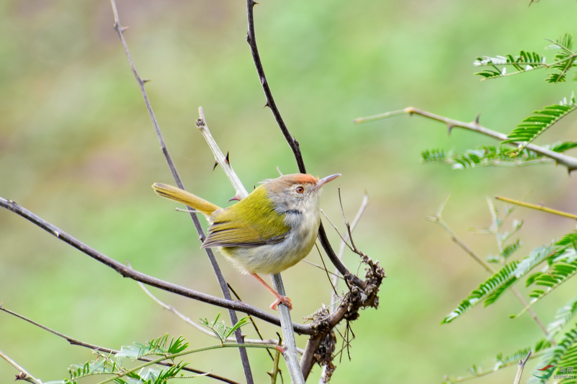DSC_3781.JPG
