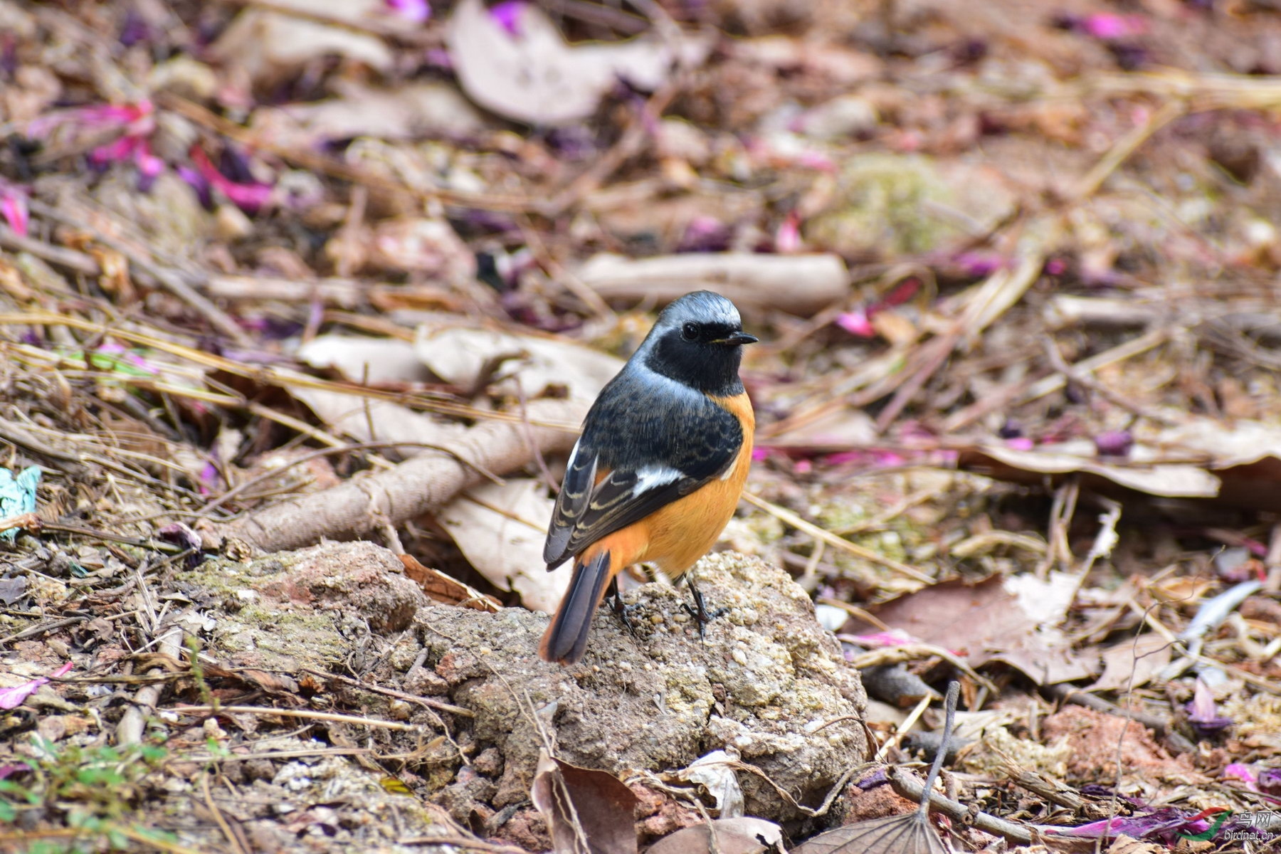 DSC_3917.JPG