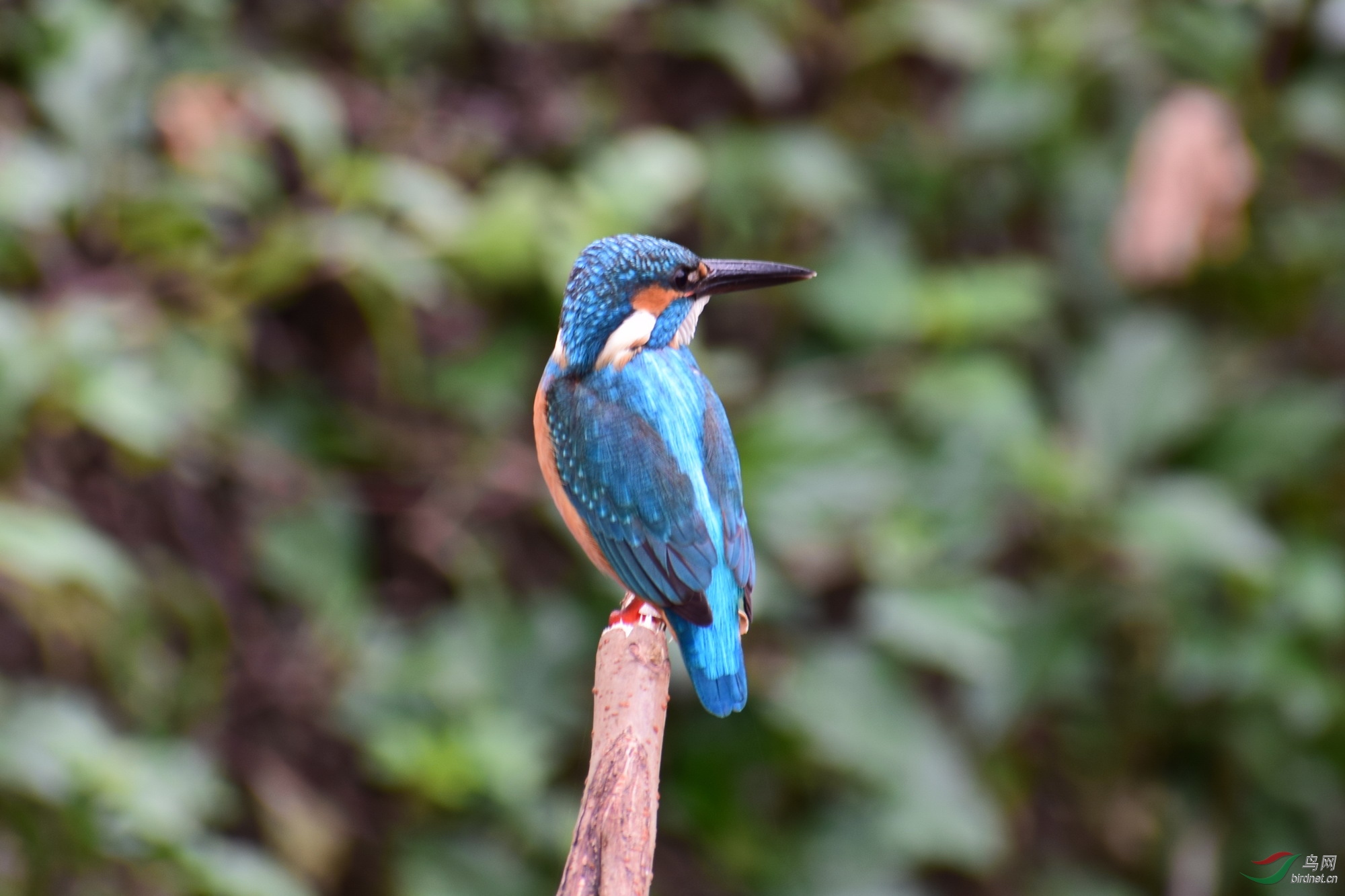 DSC_3727.JPG