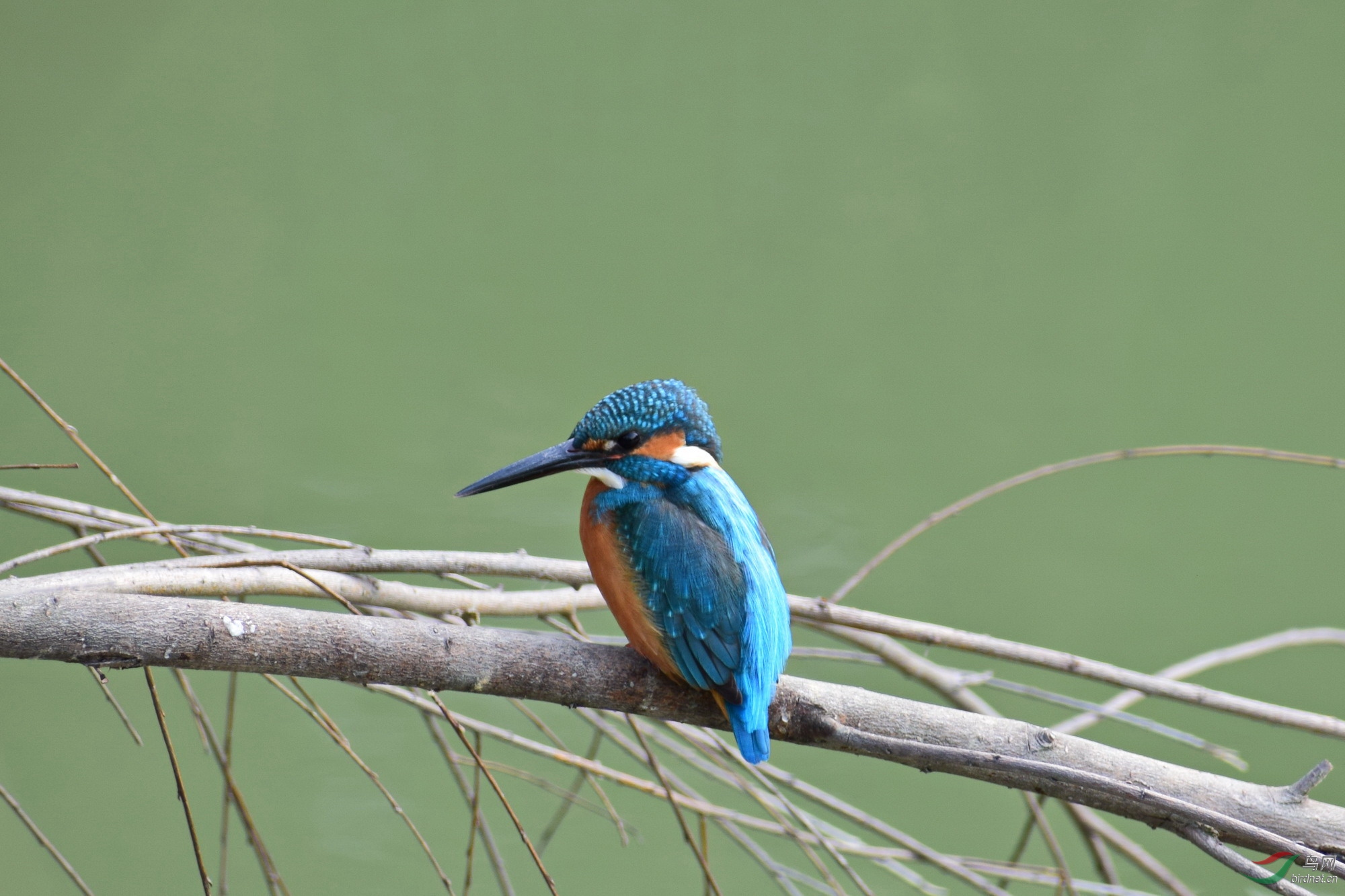 DSC_3845.JPG
