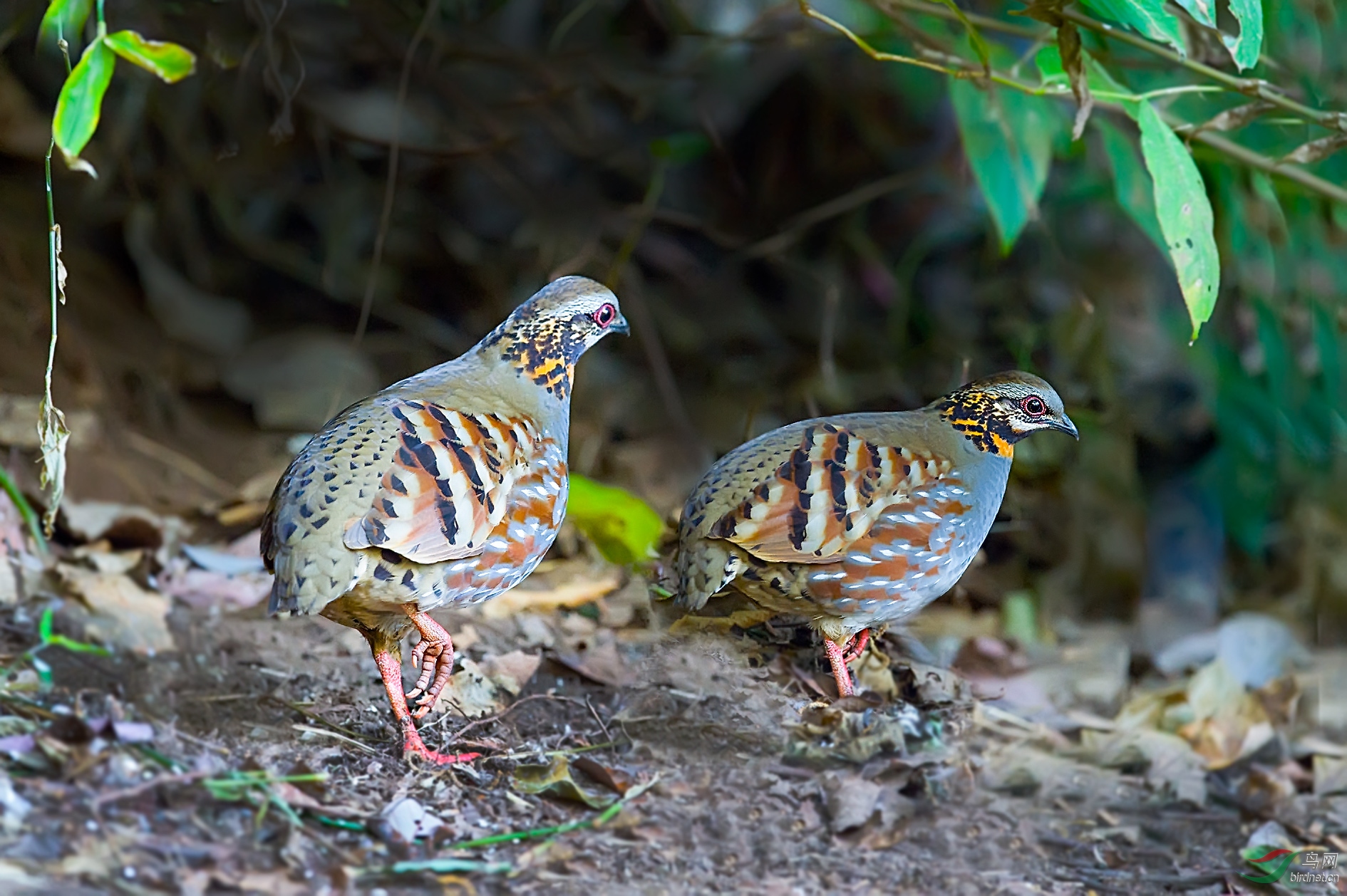 DSC_5922.jpg