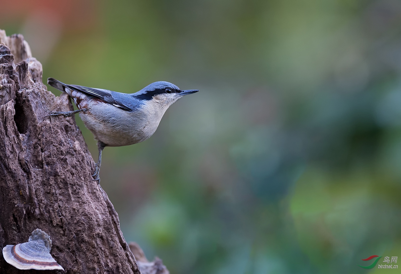 DSC_1387.jpg