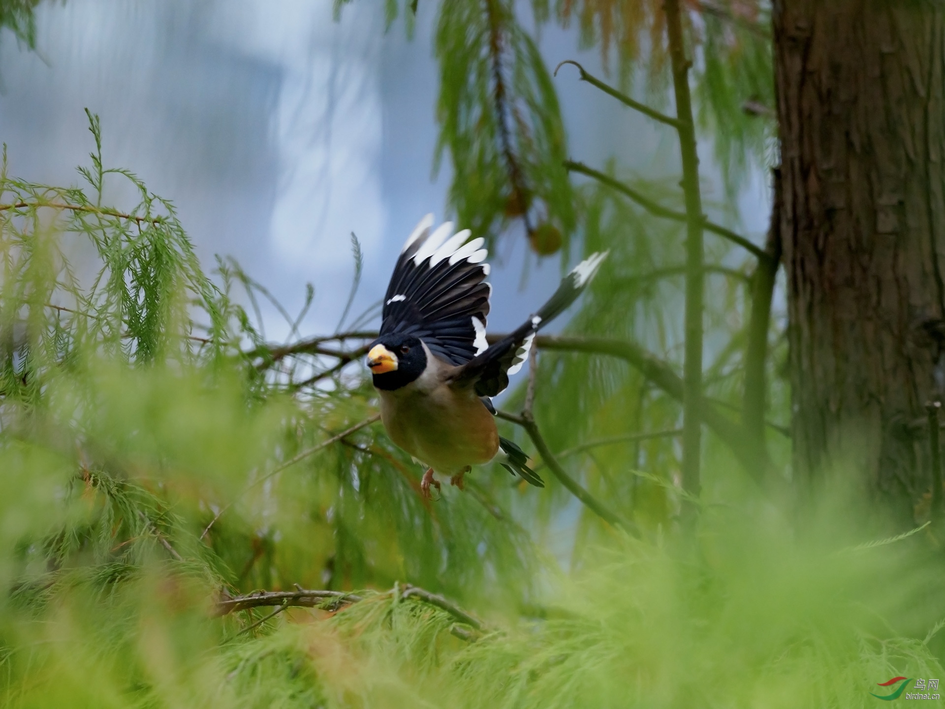 P1019735a.jpg