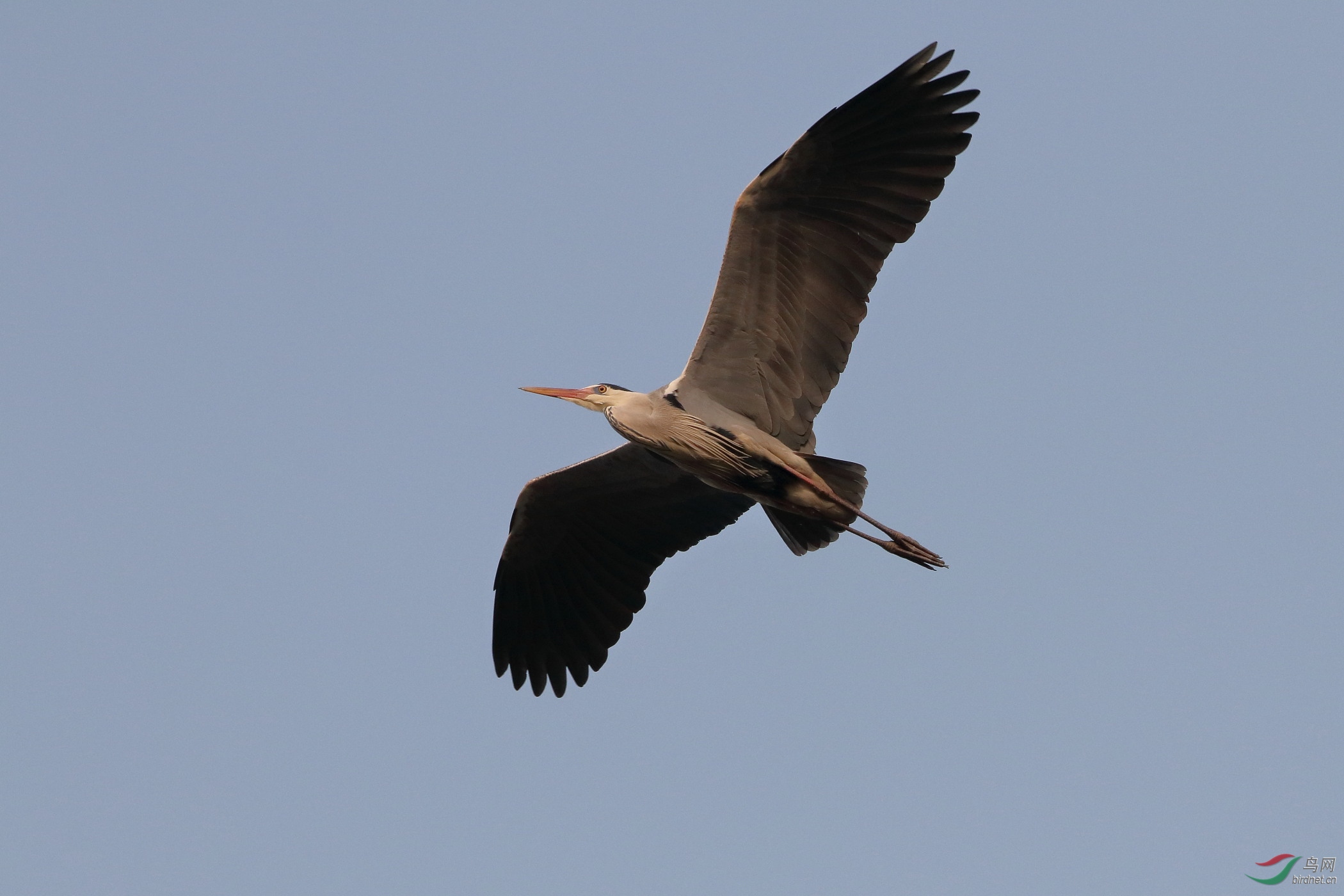 IMG_3275.JPG
