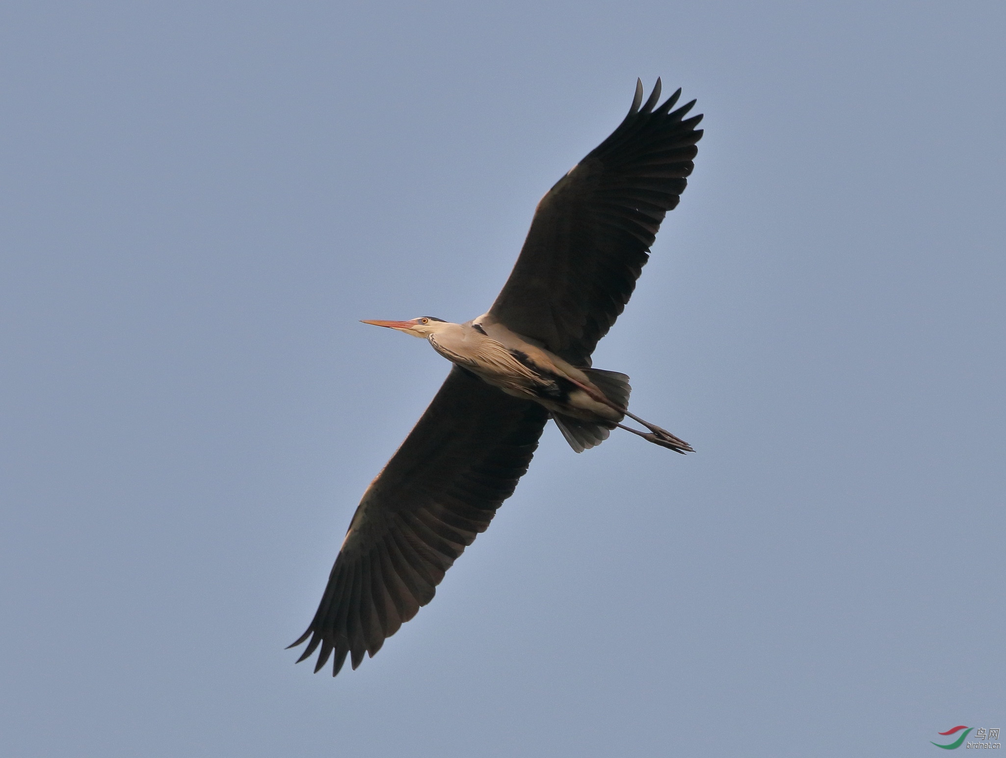 IMG_3276.JPG