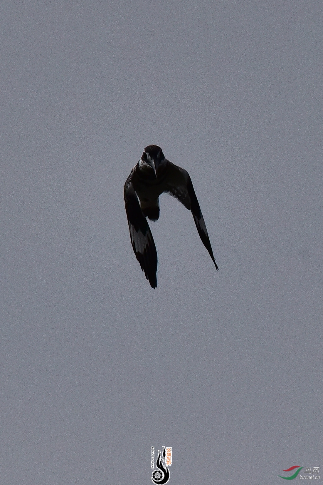 DSC_0941.JPG