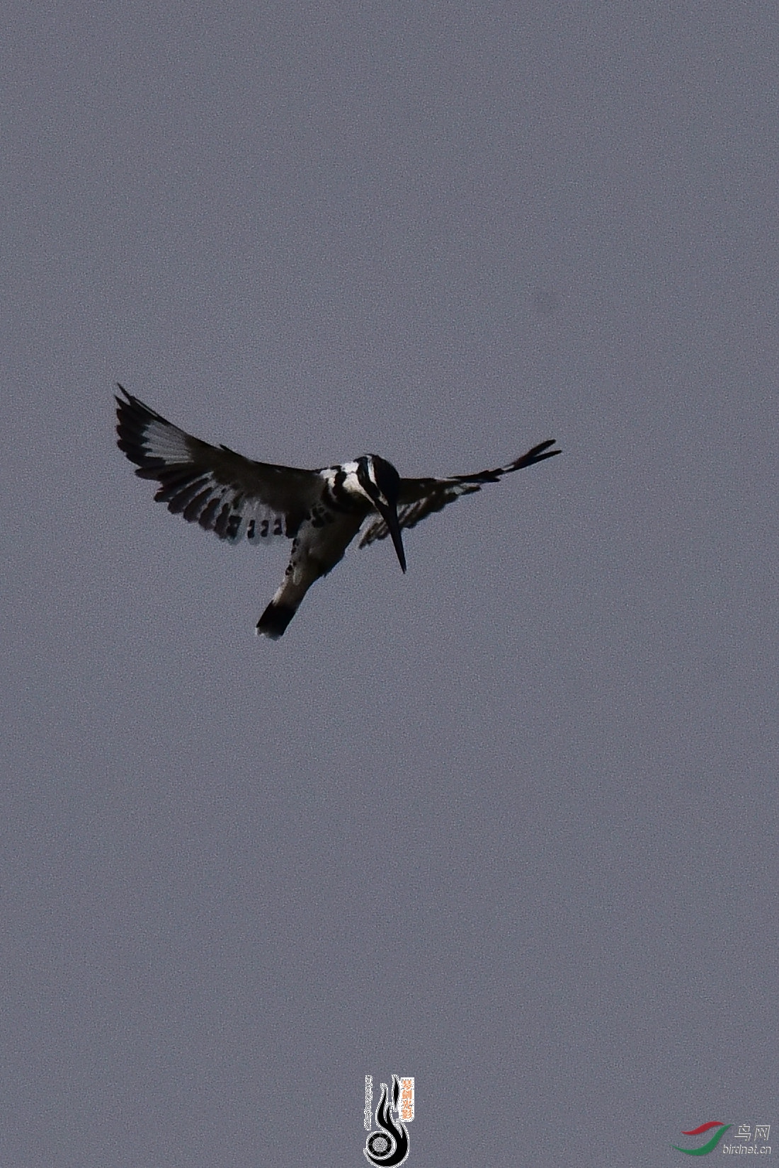 DSC_0948.JPG