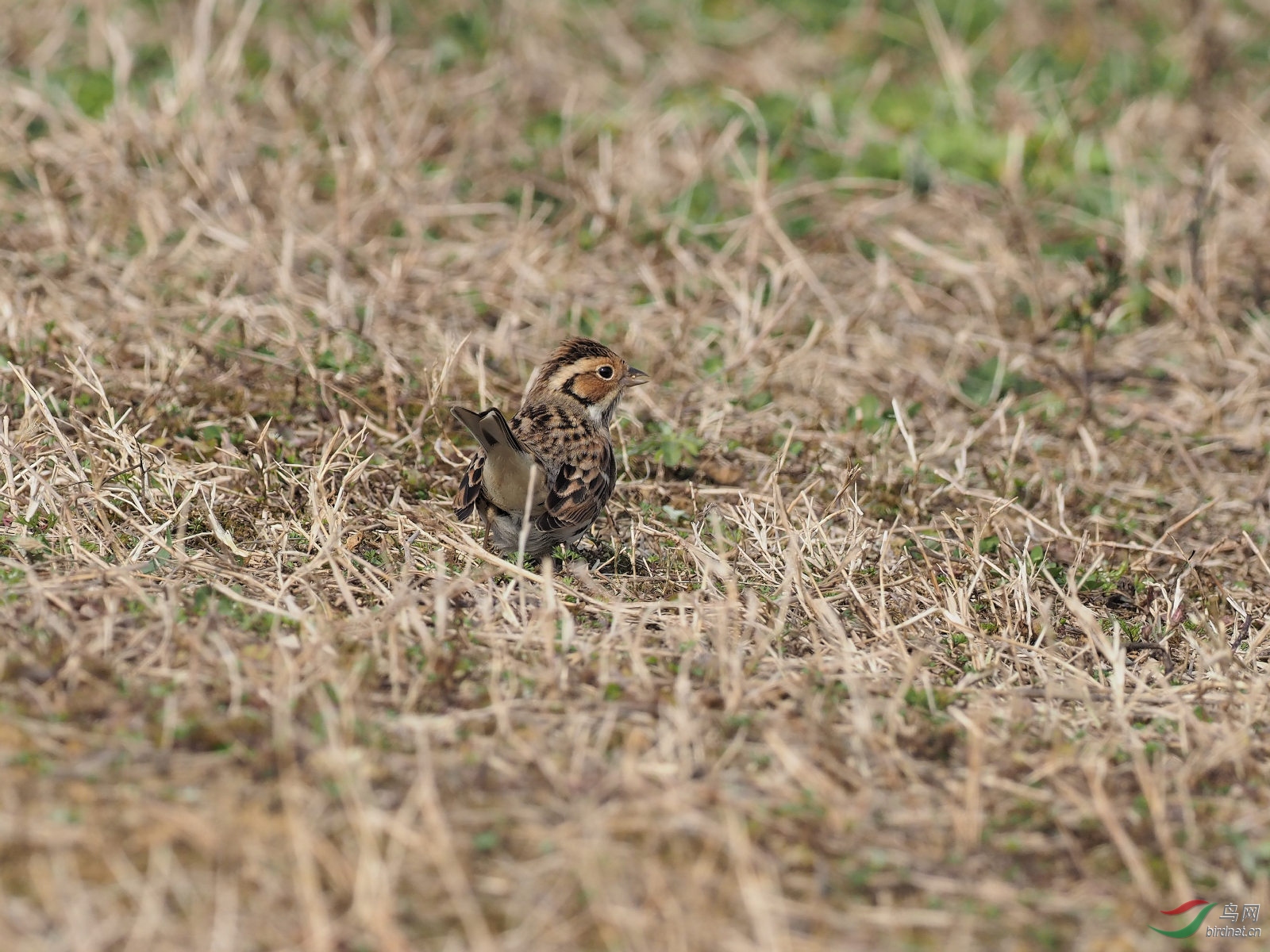 P1052115_DxO.jpg