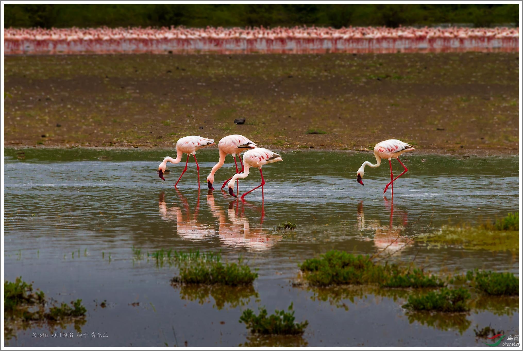 ��_MG_7957��Ϊ���ܶ���-1 2000.jpg