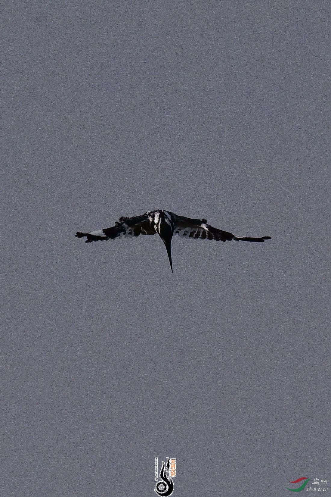 DSC_0951.JPG