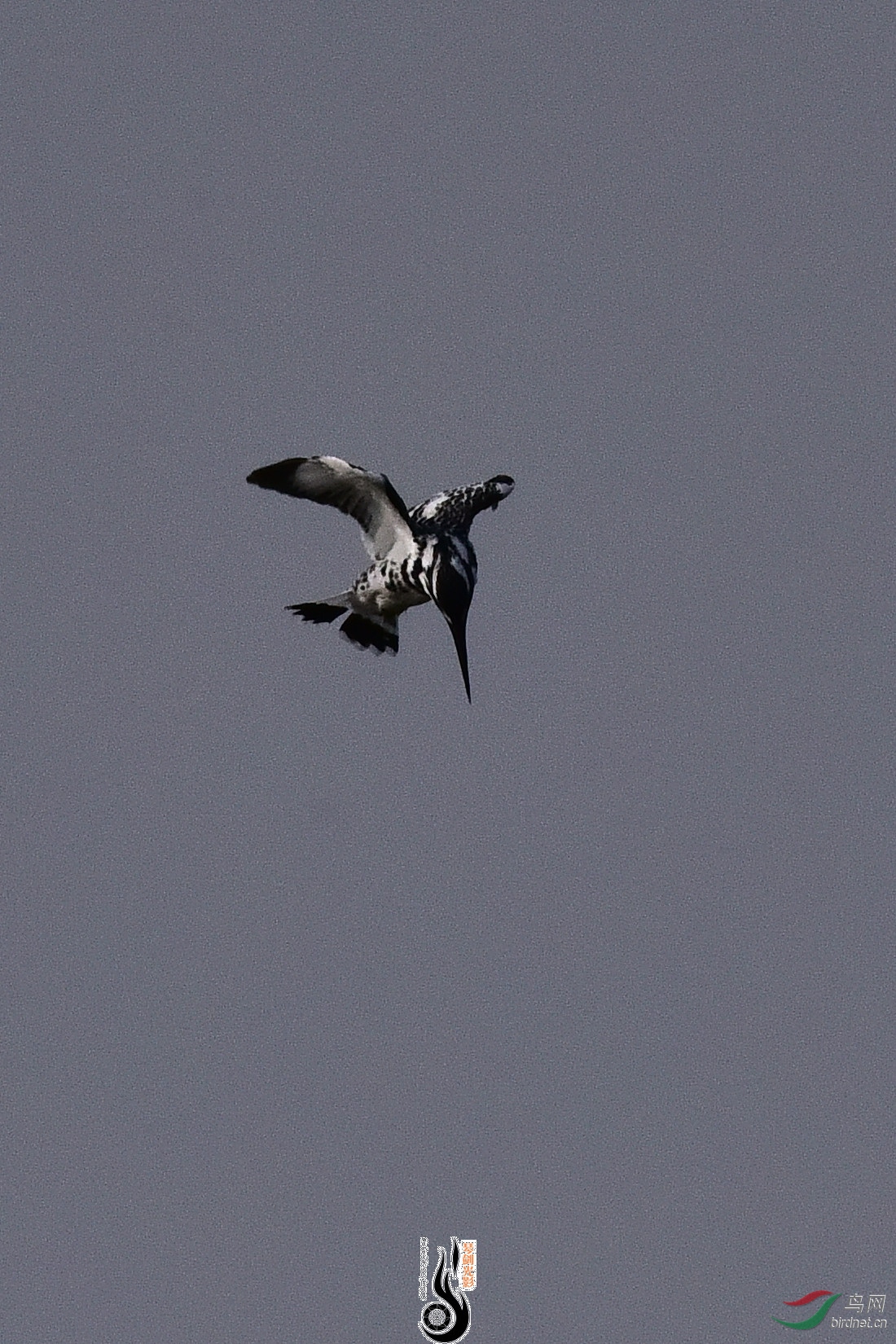 DSC_0952.JPG