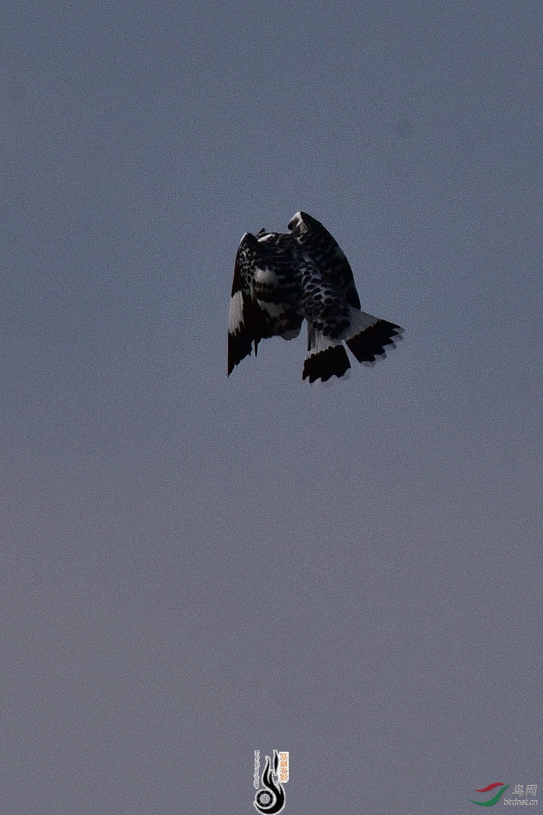 DSC_0956.JPG