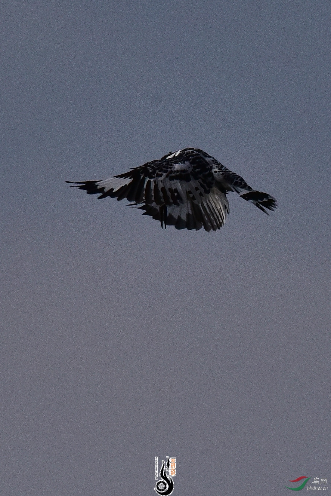 DSC_0961.JPG