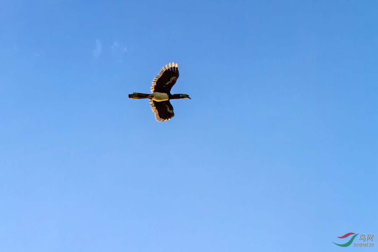 ���� (34).jpg