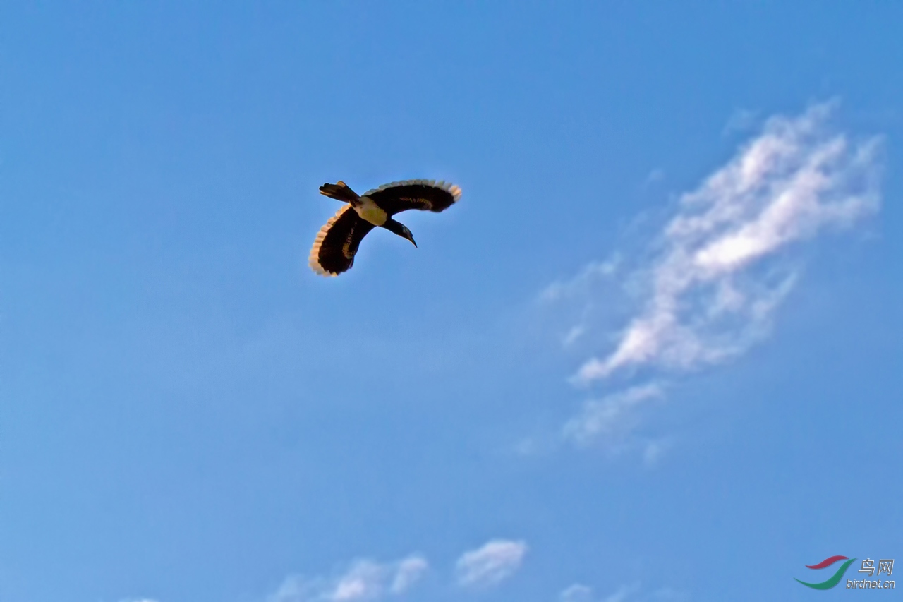 ���� (37).jpg