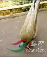 123.jpg